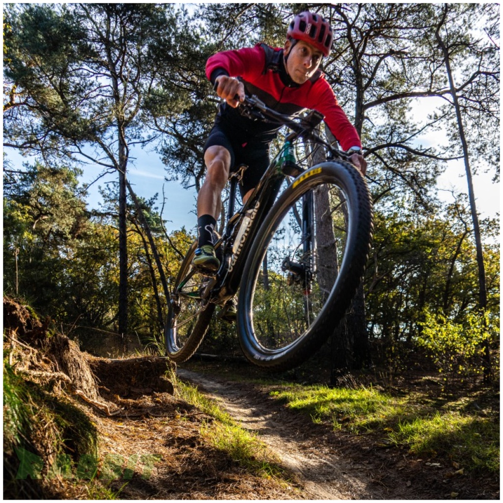 mountainbike huren den bosch