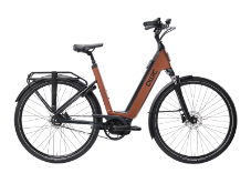 qwic-premium-i-fn7-rabbit-cycling-experience qwic-fiets-premium-i-fn7-rabbit-cycling-experience